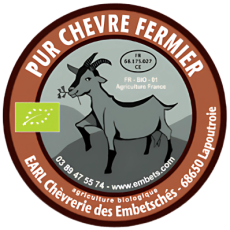 Design sans titre (12)